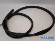 Türgummi rechts vorne Renault Twingo III BCM 808323410R