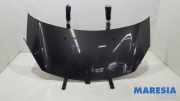 Motorhaube Citroen C3 II SC 7901R1