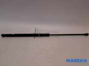 Heckklappendämpfer links Citroen C1 8731L0