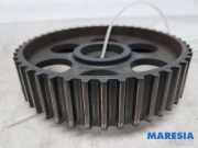 Zahnrad für Nockenwelle Alfa Romeo Mito 955 55266539