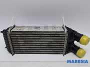 Ladeluftkühler Citroen C3 III SX 9803900780