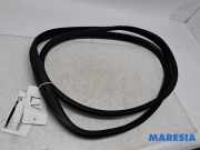 Türgummi links vorne Peugeot 108 B000807480