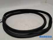 Türgummi links hinten Peugeot 2008 I 9678350280