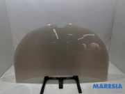 Motorhaube Renault Captur I H5, J5 651004529R