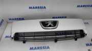 Kühlergrill Peugeot Expert II Kasten VF 1497644077