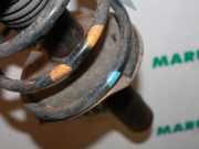 Federbein rechts vorne Peugeot 206 Schrägheck 2A/C 5202NG