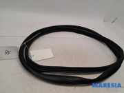 Türgummi rechts vorne Peugeot 107 9025AL