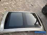 Schiebedach Renault Grand Scenic II JM 7701209142