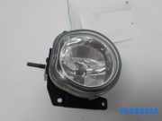 Nebelscheinwerfer links vorne Fiat Fiorino Kasten 225 01356651080