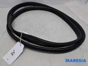 Türgummi rechts vorne Peugeot 108 B000820680