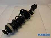 Federbein rechts vorne Fiat Panda 312, 319 51926522