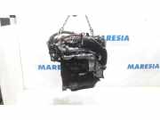 Motor ohne Anbauteile (Diesel) Citroen C-Crosser MC4HN