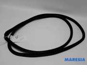 Türgummi links vorne Renault Kadjar HA, HL 808317944R