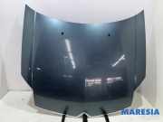 Motorhaube Citroen C6 T 790143