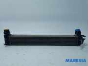 Ladeluftkühler Renault Scenic III JZ 144961285R