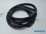 Türgummi links vorne Peugeot Expert III Kasten V 9806514880