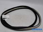 Türgummi links vorne Renault Espace V JR 808336750R