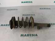 Federbein rechts vorne Peugeot 206 SW 2E/K 5202NA