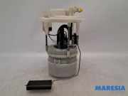 Kraftstoffpumpe Citroen C4 II Picasso 9674700480