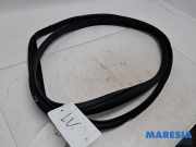 Türgummi links vorne Peugeot 108 B000807480