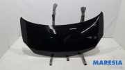 Motorhaube Renault Twingo II CN0 651003355R