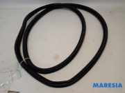 Türgummi links vorne Peugeot 3008 II MC, MR, MJ, M4 9811537480