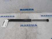 Gasdruckfeder Peugeot 5008 I 9683738180