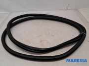 Türgummi links hinten Peugeot 5008 II 9812586680