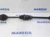 Antriebswelle rechts vorne Fiat Punto Evo 199 55700558 Bild Antriebswelle rechts vorne Fiat Punto Evo 199 55700558