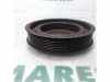 Zahnriemenscheibe Kurbelwelle Renault Clio III BR0/1, CR0/1 8200315270 Bild Zahnriemenscheibe Kurbelwelle Renault Clio III BR0/1, CR0/1 8200315270
