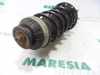 Federbein links vorne Fiat Punto Evo 199 51796542 Bild Federbein links vorne Fiat Punto Evo 199 51796542