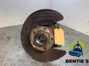 Achszapfen links vorne BMW X4 F26 31216855953