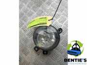 Nebelscheinwerfer links vorne BMW X1 E84 63172993525