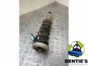 Federbein links hinten BMW 6er E63 33526768925