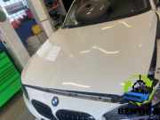 Motorhaube BMW 1er F20 41007290942