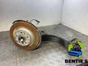 Achszapfen rechts hinten BMW X1 U11 33306894210