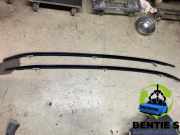 Dachreling BMW X1 U11 9466071