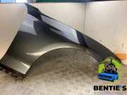 Kotflügel rechts vorne BMW 1er F20 41007284646