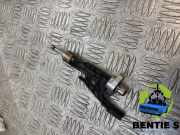 Einspritzdüse BMW 1er F40 0261500437