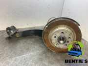 Achszapfen links hinten BMW X1 U11 33306894209