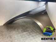 Kotflügel links vorne BMW 3er Touring F31 41357298027
