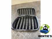 Kühlergrill BMW X1 E84 51112993306