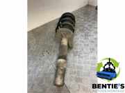 Federbein links vorne BMW 7er E65, E66 31316753187