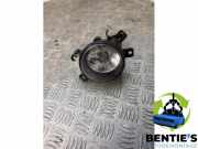 Nebelscheinwerfer links vorne BMW X1 E84 63172990019