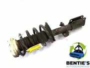 Federbein links vorne BMW X5 E53 31316764599