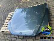 Motorhaube BMW 5er Touring E61 41617111385