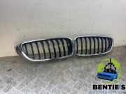 Kühlergrill BMW 4er Coupe F32, F82 7294814