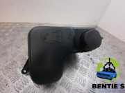 Ausgleichsbehälter BMW X3 E83 17137800293