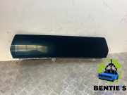 Multifunktionsanzeige BMW X1 U11 65505A79110