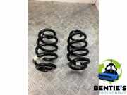 Feder hinten BMW X1 U11 884755401